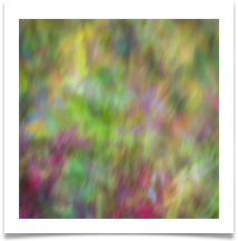 Autumn Abstract - Tony Green